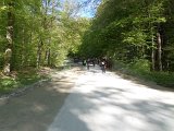 Maibaum_2016 (66).JPG